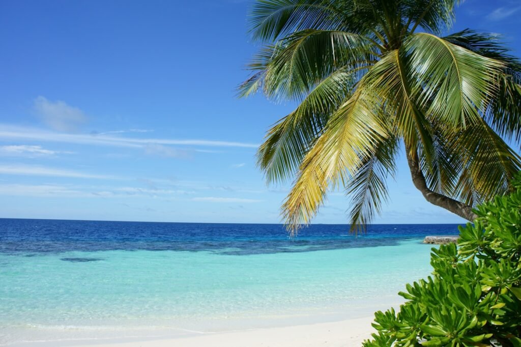 Lanai Beach – Turismo em Alta e Valorização Imobiliária em Maceió 1 photo 1515238152791 8216bfdf89a7